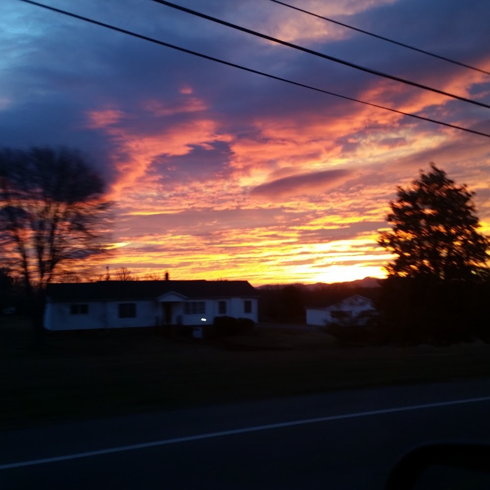 Meet your Posher, Brandi